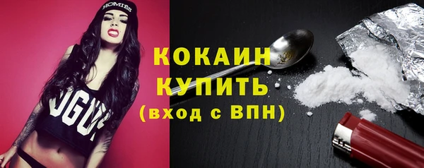 Альфа ПВП Лагань