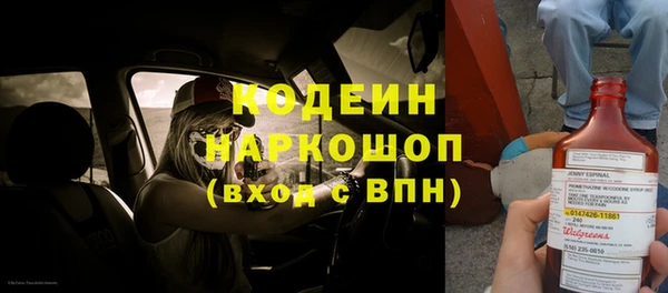 Альфа ПВП Лагань