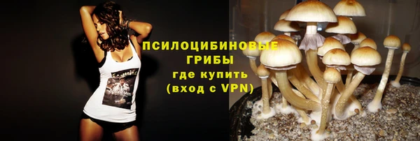 mdpv Лабытнанги
