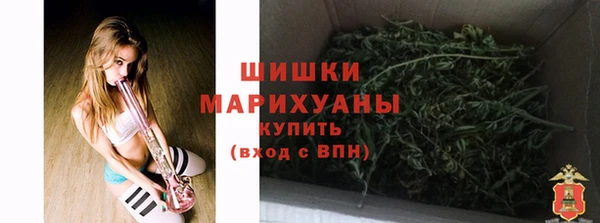 Альфа ПВП Лагань