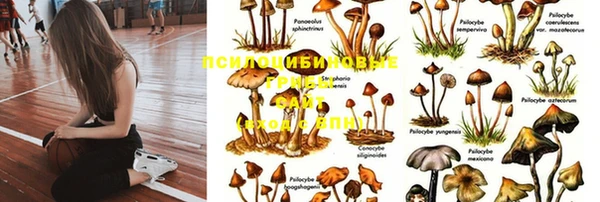 Альфа ПВП Лагань